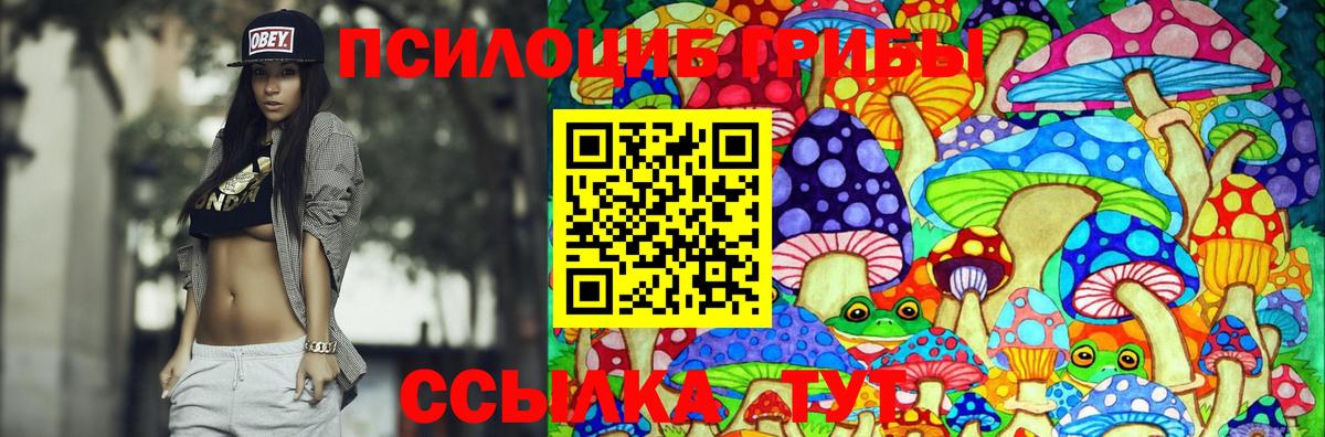 Псилоцибиновые грибы Psilocybe  Вход с VPN  Чайковский  хочу наркоту  Галлюциногенные грибы GOLDEN TEACHER 